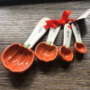 ADORABLE Pumpkin Measuring Spoons